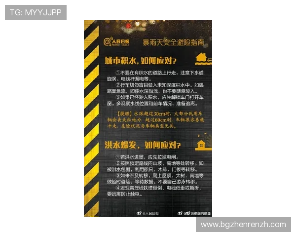 百家乐规则大全完整指南涵盖基础规则与高级技巧助你赢得更多胜利