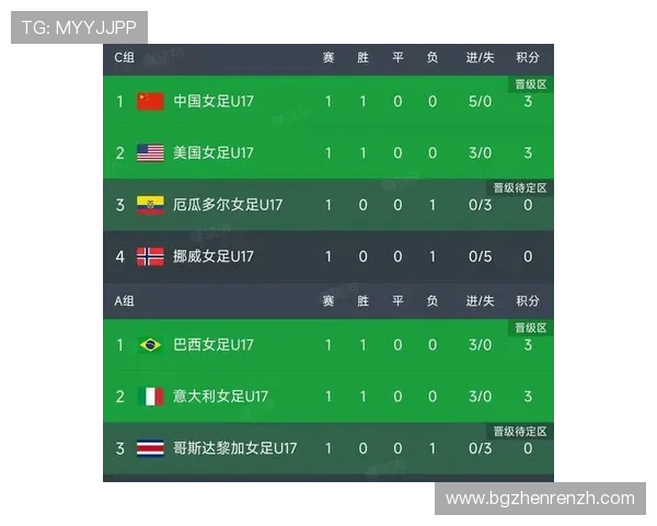 世界杯A组官方积分榜最新排名公布,深入分析各队战绩、积分及未来比赛走势